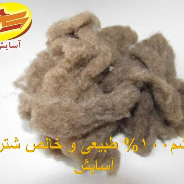 پشم شتر آسایش 100% طبیعی و خالص