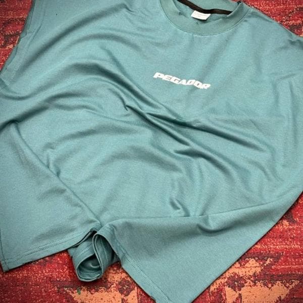 تیشرت مردانه برند پگادور - تصویر 2