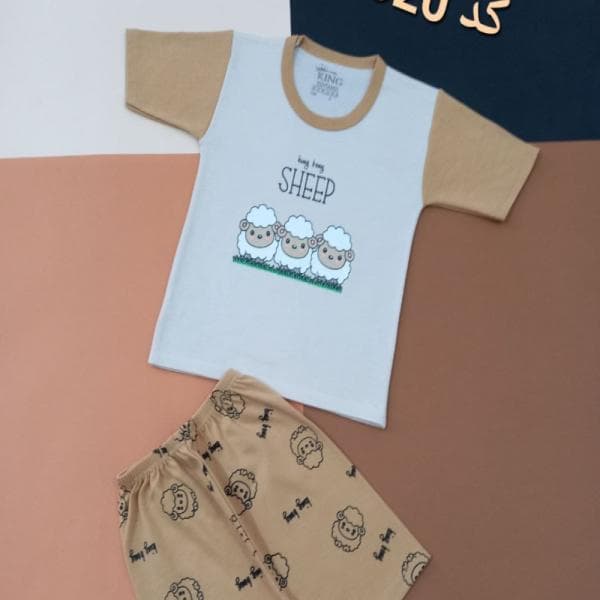 تیشرت و شلوار کد 320