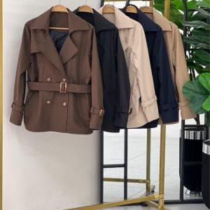 بارانی رویا